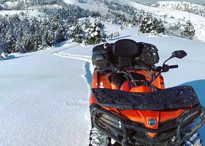 Apartamento Planinsko Blago