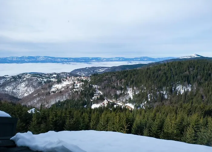 Planinsko Blago Kopaonik